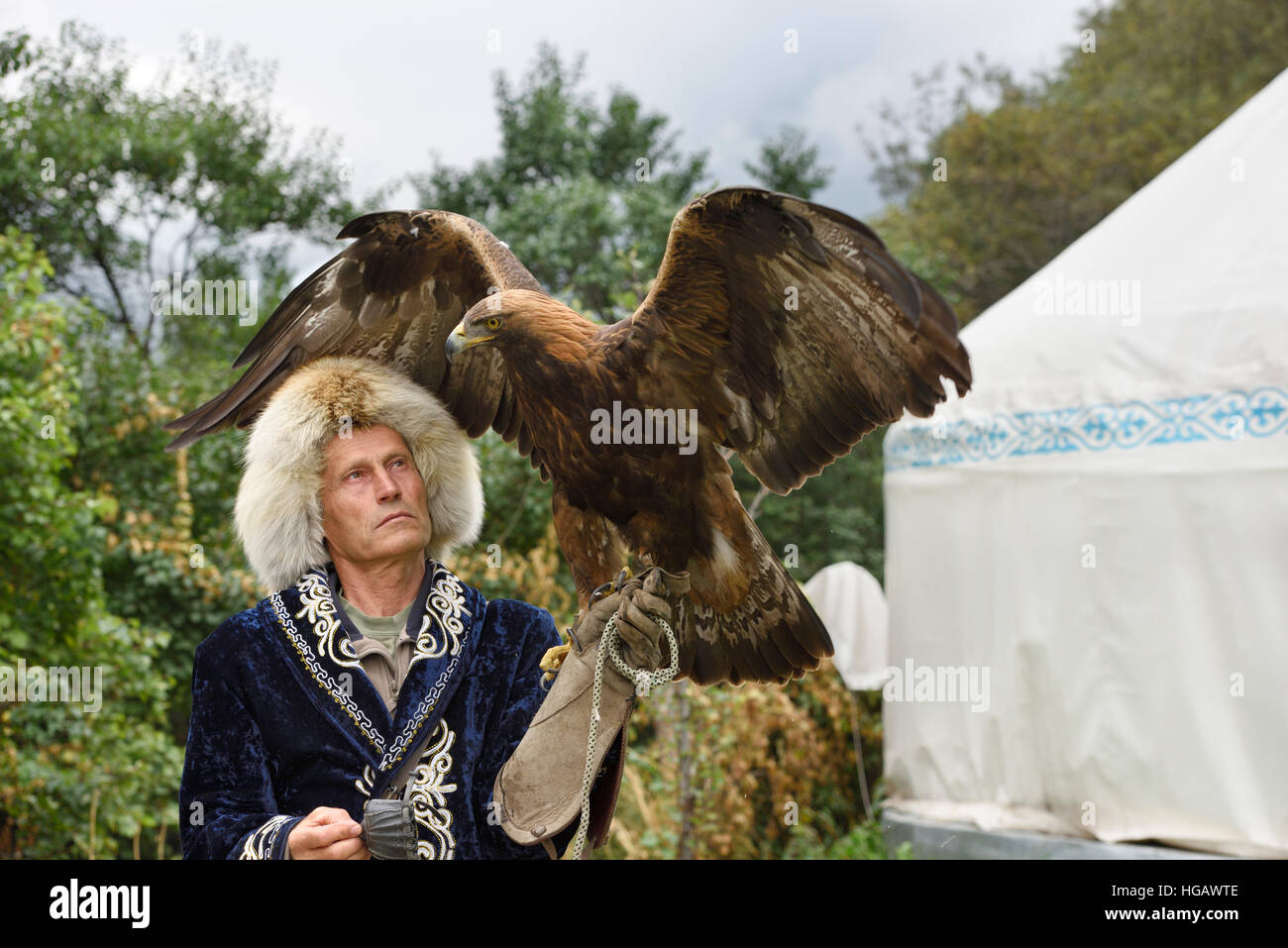 Trainer professionale azienda Golden Eagle con ali spiegate a Sunkar Raptor Centre Almaty Kazakhstan Foto Stock