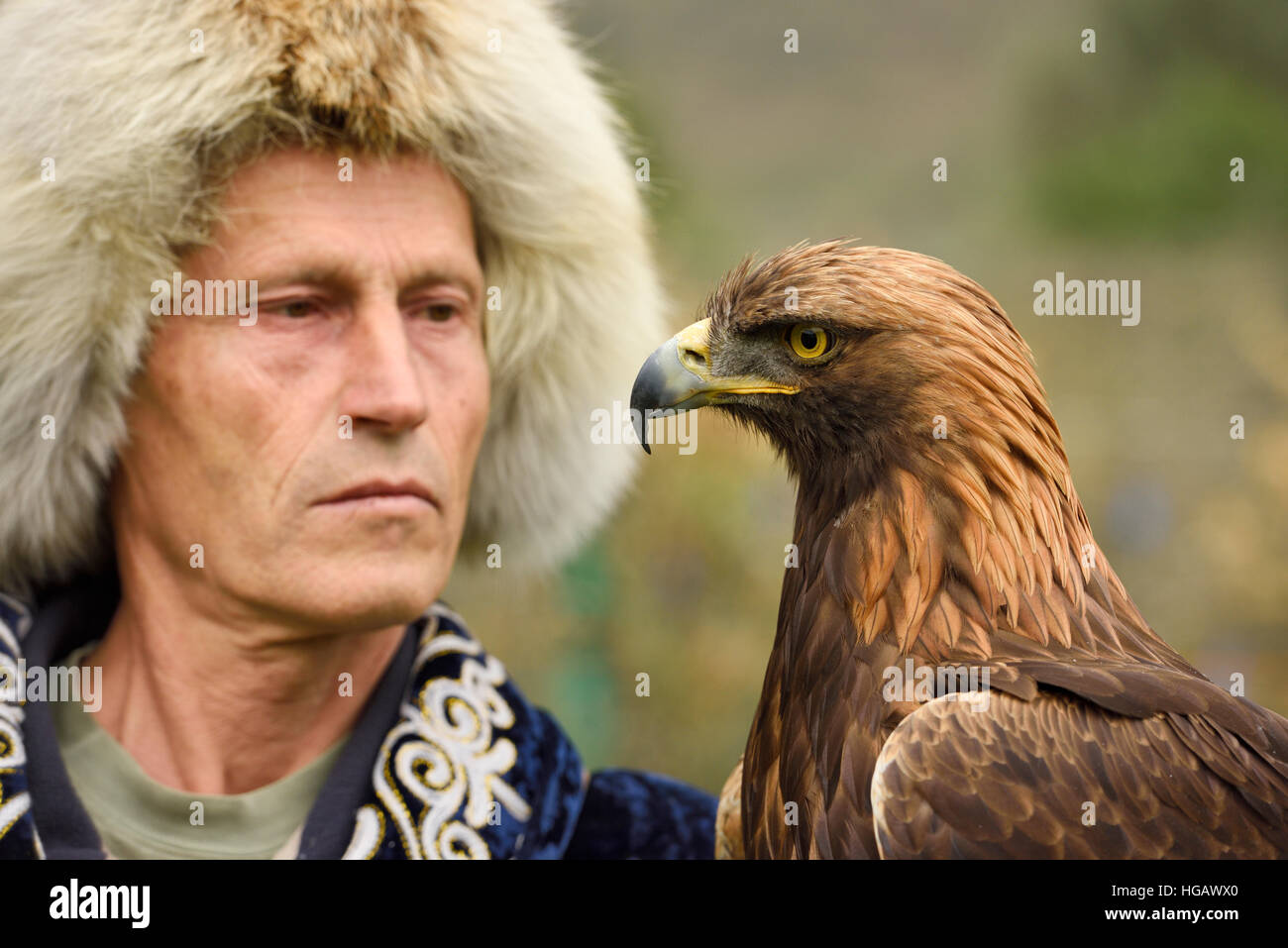 Close up Golden Eagle tenuto da un istruttore presso Sunkar Raptor Centre Almaty Kazakhstan Foto Stock