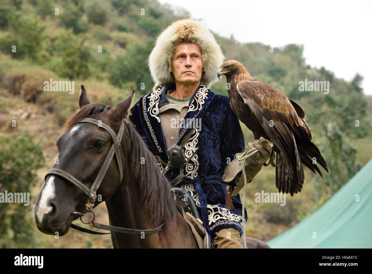 Bird trainer a cavallo tenendo un Golden Eagle a Sunkar Raptor Centre Almaty Kazakhstan Foto Stock