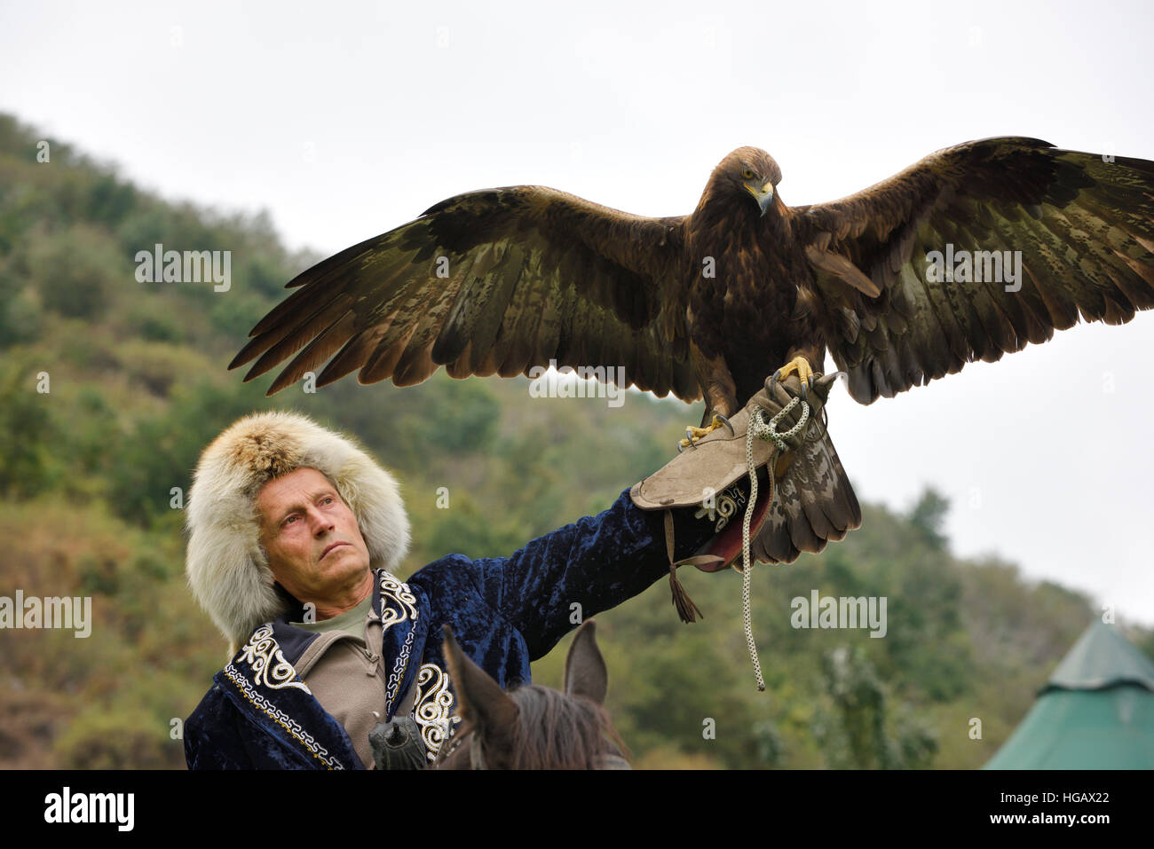 Bird trainer a cavallo con in mano una Golden Eagle con ali spiegate a Sunkar Raptor Centre Almaty Kazakhstan Foto Stock