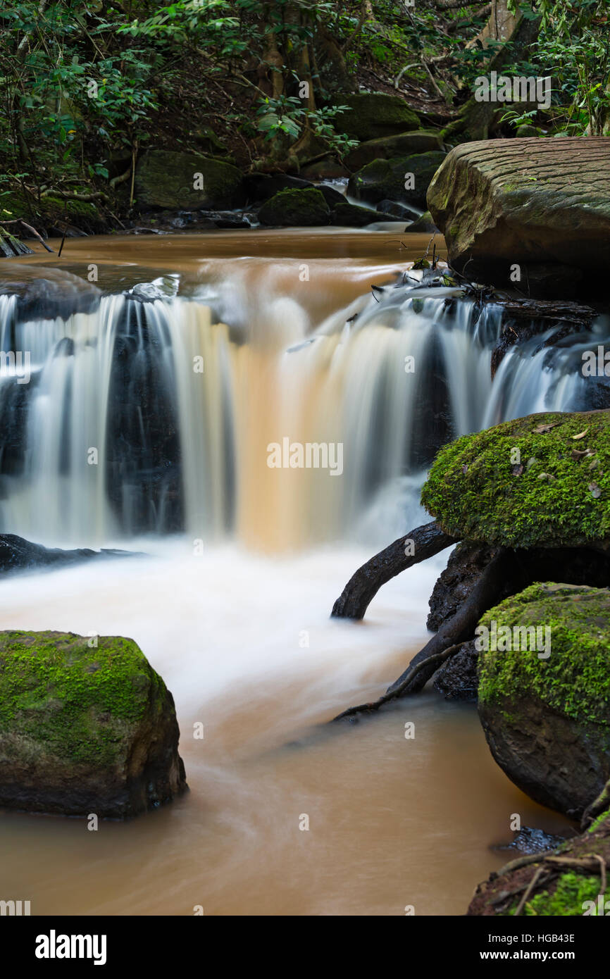 Idilliaco lunga esposizione dettaglio colpo di un piccolo fiume di Nairobi cascata nella foresta di Karura, Kenya. Foto Stock