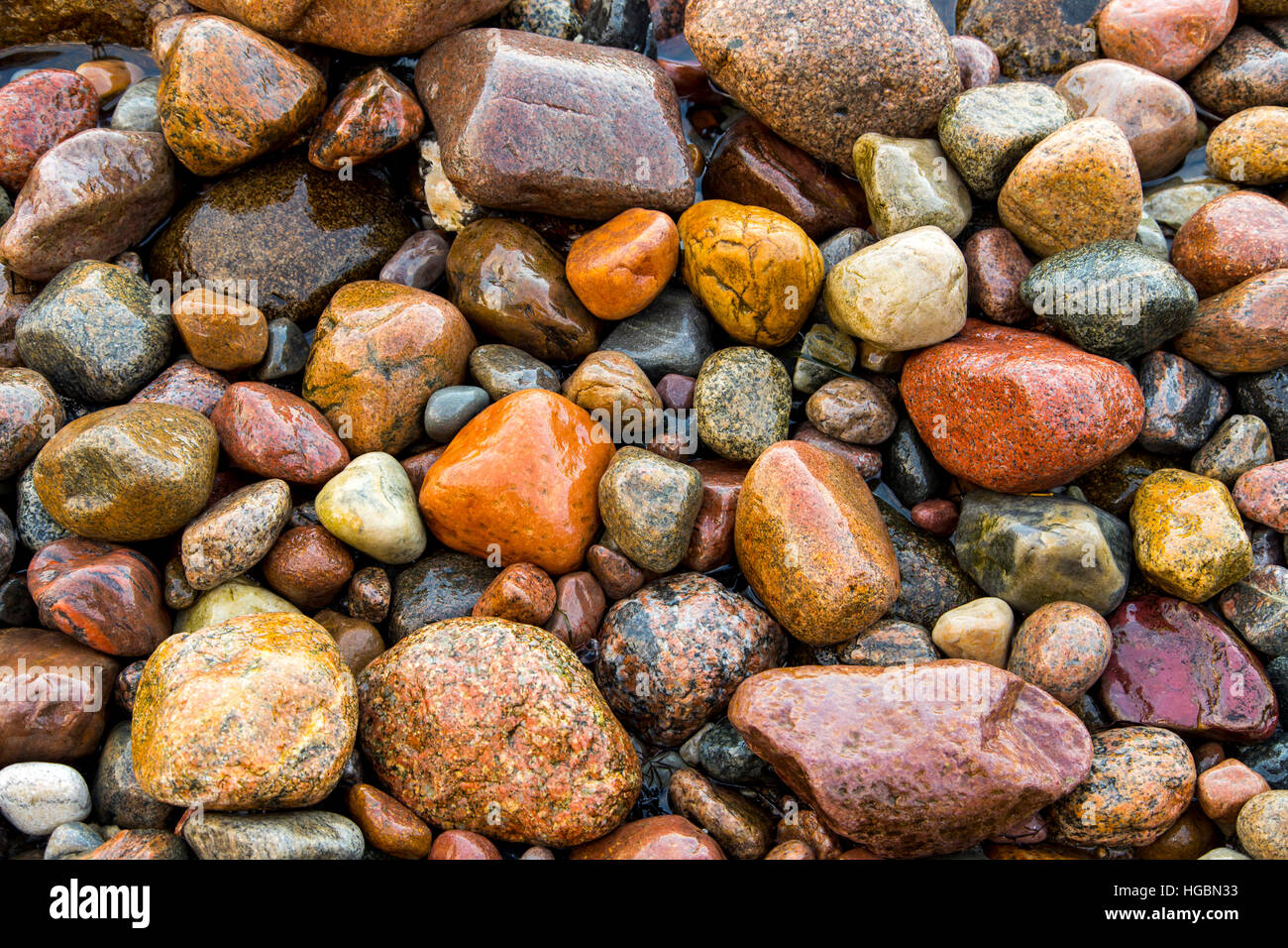 Molti grandi e piccoli ciottoli pietre, su una spiaggia, isola di Ruegen, costa baltica, Germania Foto Stock