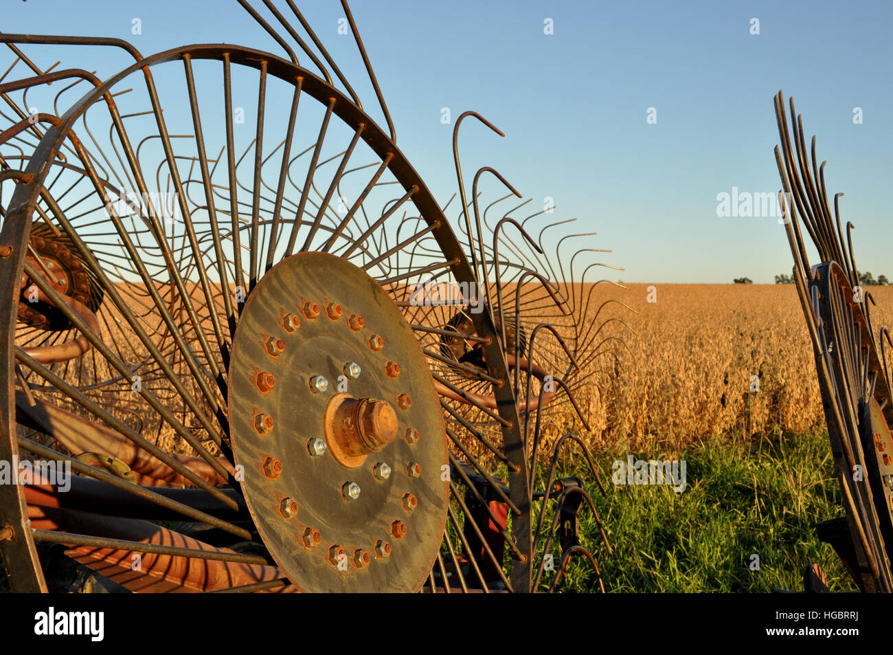Vecchio rastrello di fieno in un campo rurale sul lato del paese. Foto Stock