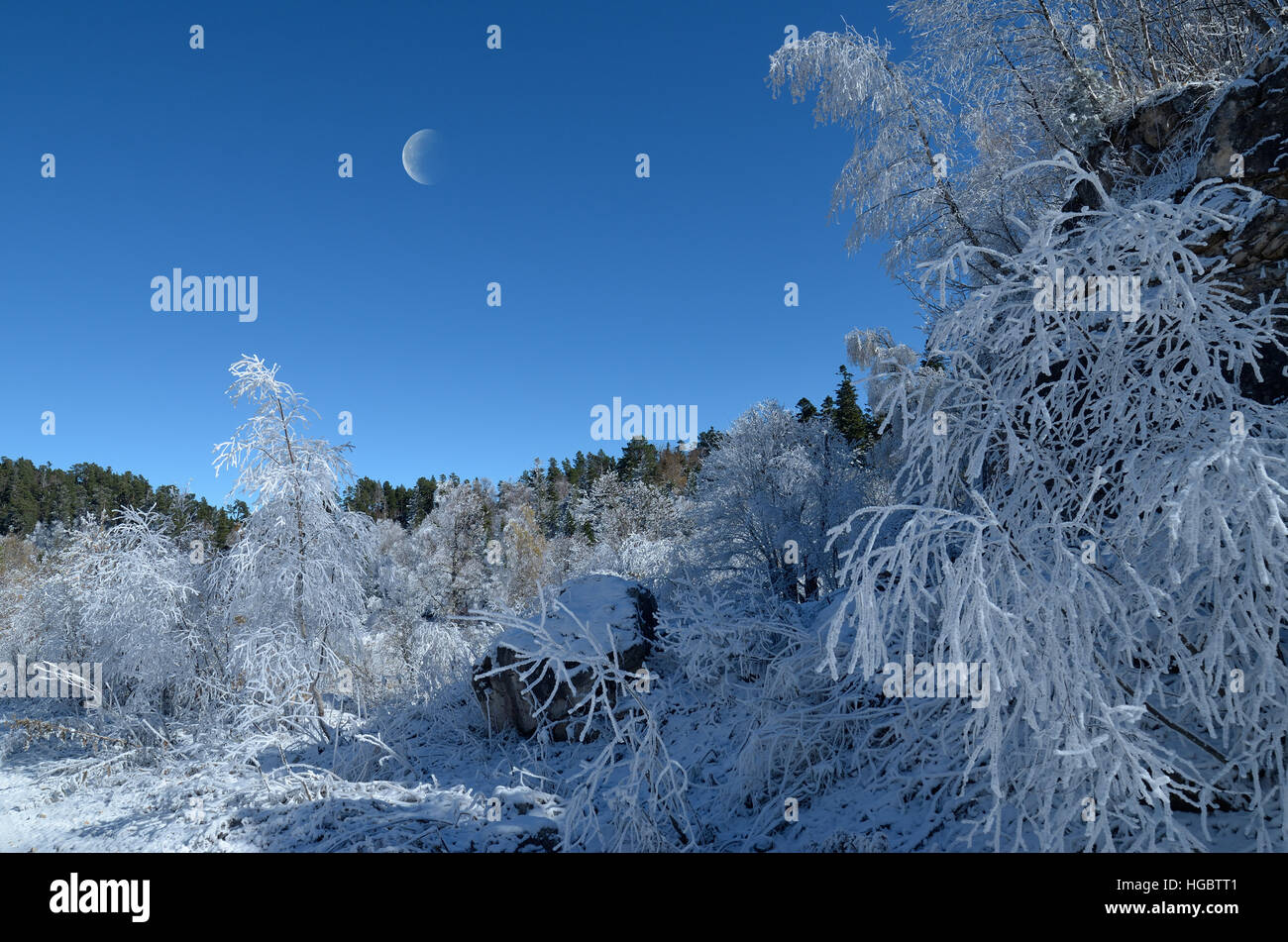 Vista della foresta e la roccia alle pendici del Caucaso. La luna nel cielo blu. Repubblica di Adygea, Russia Foto Stock