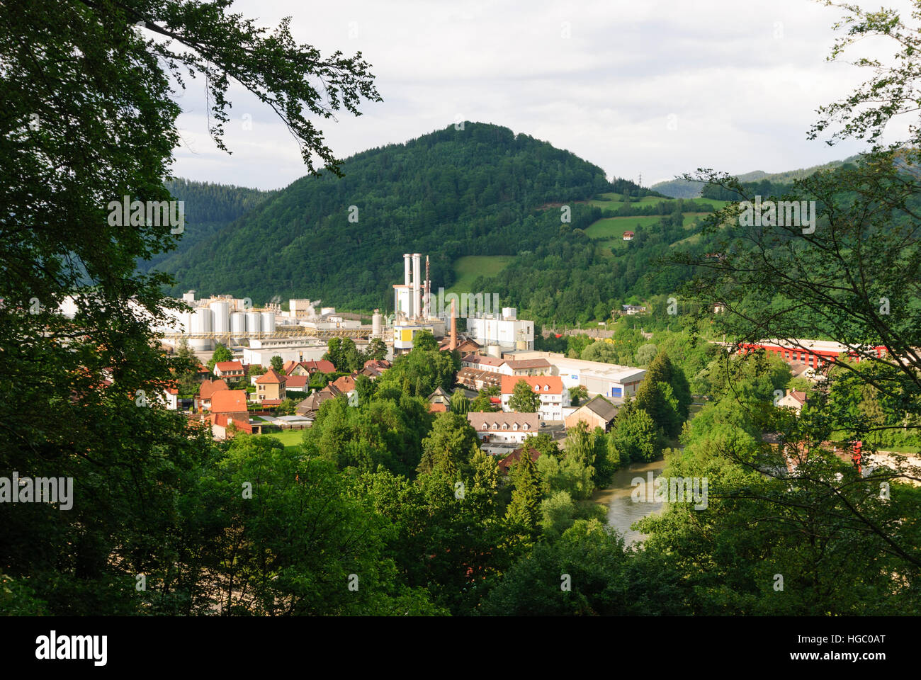 Bruck an der Mur: fabbrica di carta della società Norske Skog, Obere Steiermark, Steiermark, Stiria, Austria Foto Stock