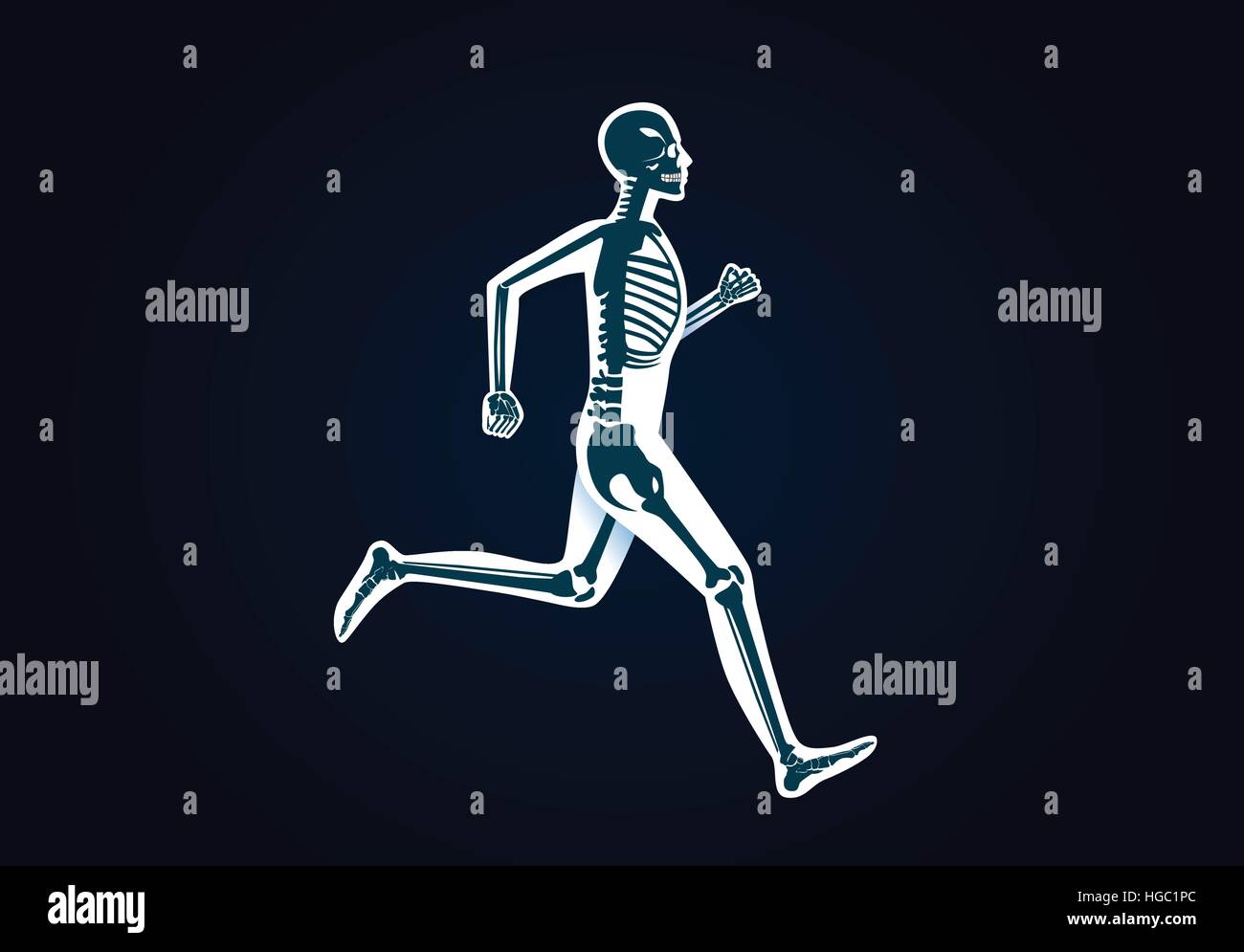 Un osso umano anatomia mentre esegui Illustrazione Vettoriale