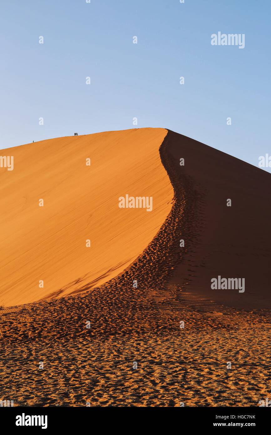 Dune 45, Namib Dessert Foto Stock