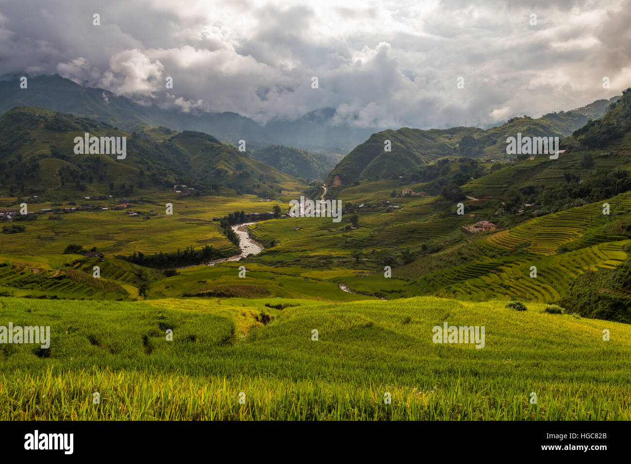 Verde Valle di Sapa in Vietnam del nord Foto Stock