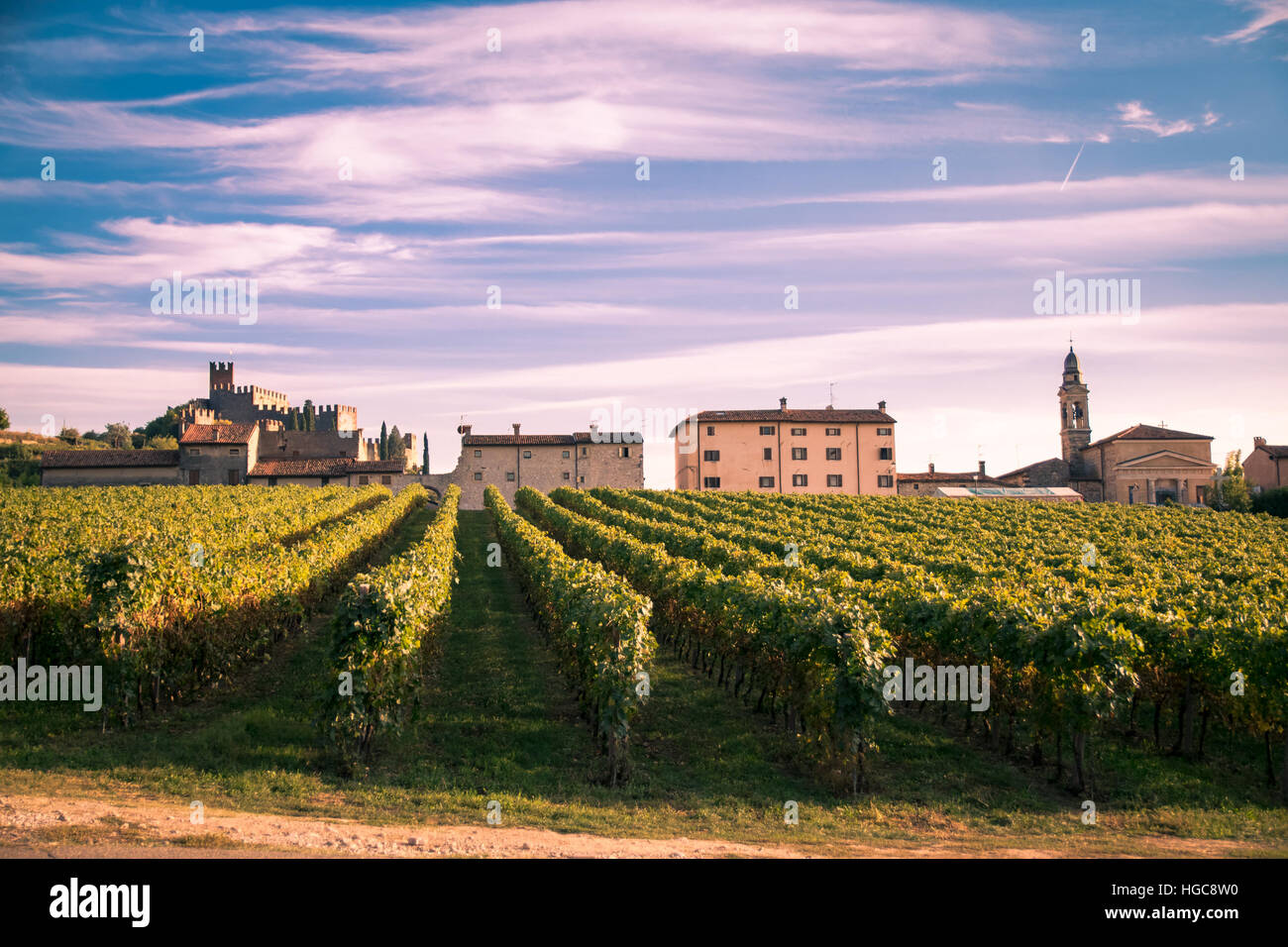 Vista di Soave (Italia) circondato da vigneti che producono uno dei più apprezzati vini bianchi italiani, e il suo famoso castello medievale. Foto Stock