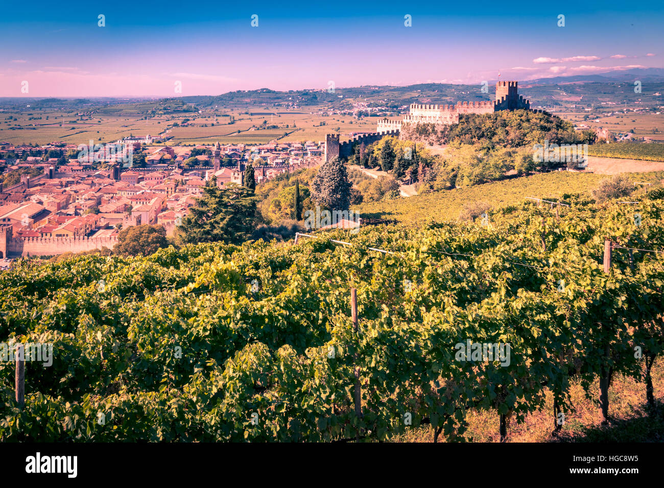 Vista di Soave (Italia) circondato da vigneti che producono uno dei più apprezzati vini bianchi italiani, e il suo famoso castello medievale. Foto Stock