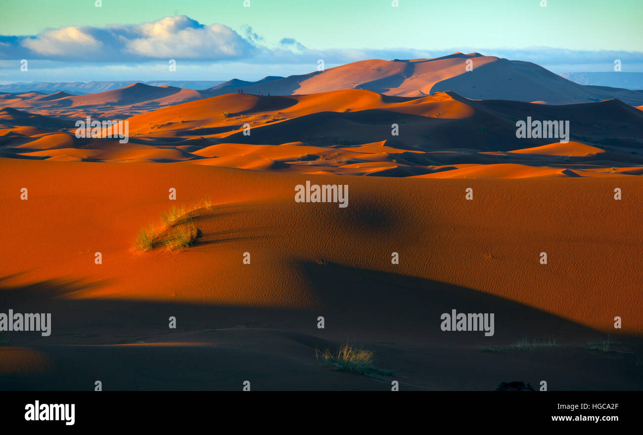 La mattina presto su Erg Chebbi dune del deserto del Sahara in Marocco Africa del Nord Marzo Foto Stock