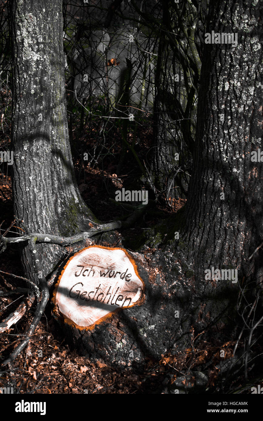 Albero tagliato con citazione divertente su di esso Foto Stock