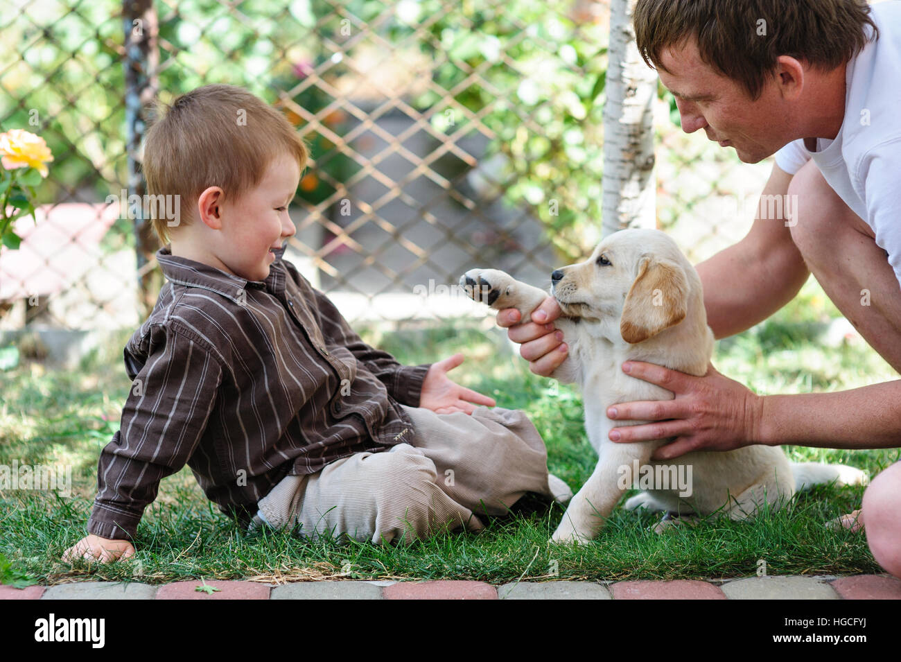 Ragazzo con il papà la riproduzione di un cucciolo di Labrador Foto Stock