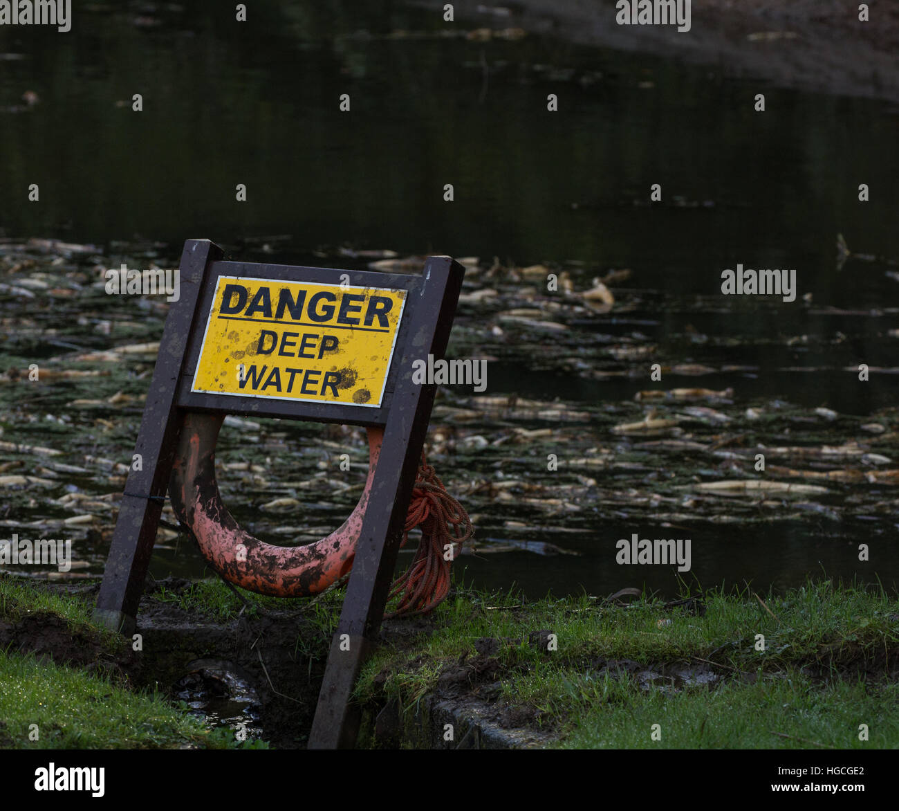 Un segno di pericolo e un salvagente sono state condizionate accanto a un lago avvertenza circa i pericoli di acqua profonda. Foto Stock