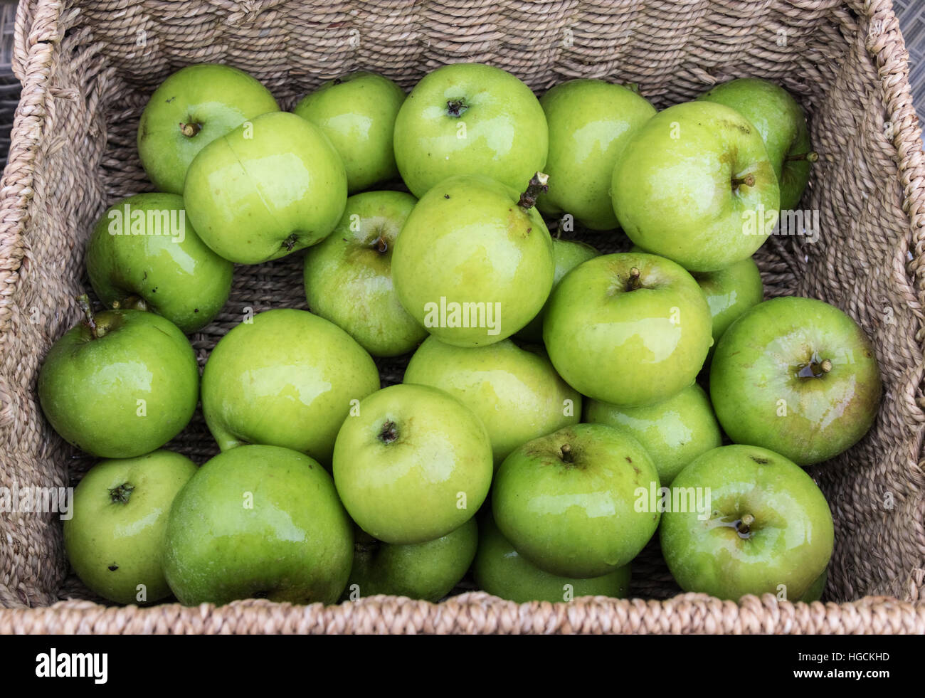 Fresco verde di mangiare le mele in un cesto di vimini Foto Stock