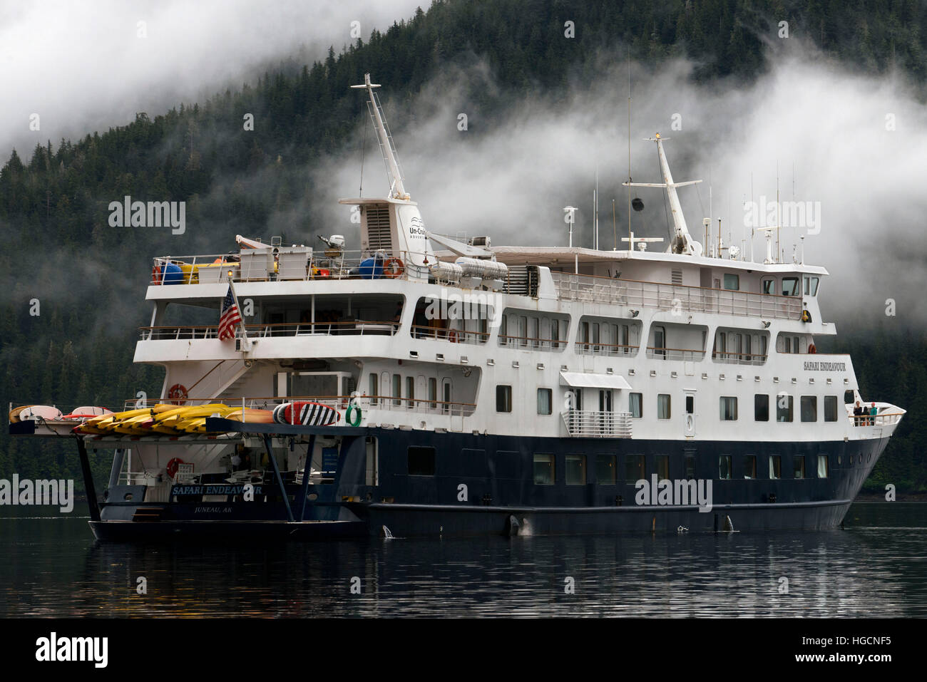 Safari si sforzano crociera presso i guadi del terrore, Braccio Endicott, Tongass National Forest, Alaska, Stati Uniti d'America. Il quarantanovesimo stato, il più grande negli Stati Uniti, è perfetto per c Foto Stock