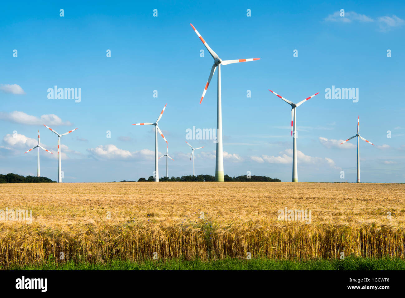 Deutschland, Renania settentrionale-Vestfalia, Kreis Borken, Ahaus, Windpark nordöstlich von Ahaus Foto Stock