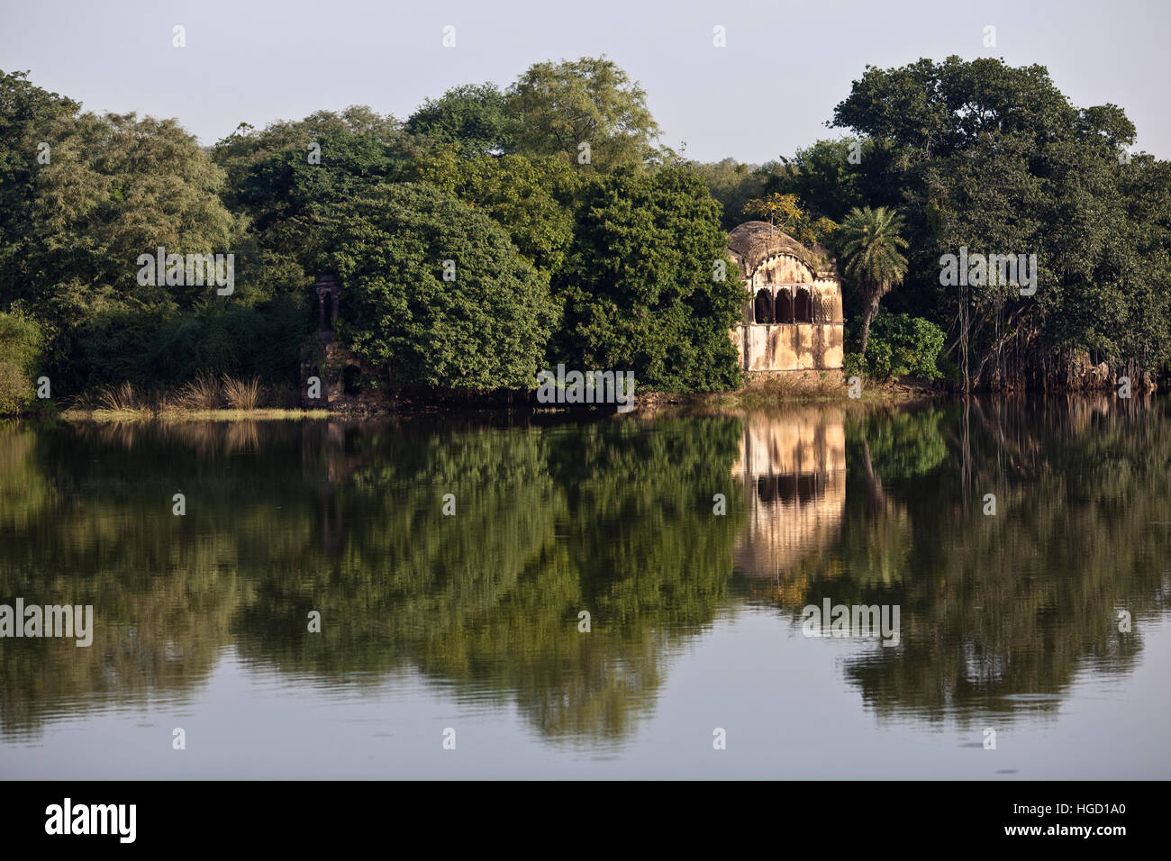 Parco nazionale di Ranthambore, India Foto Stock