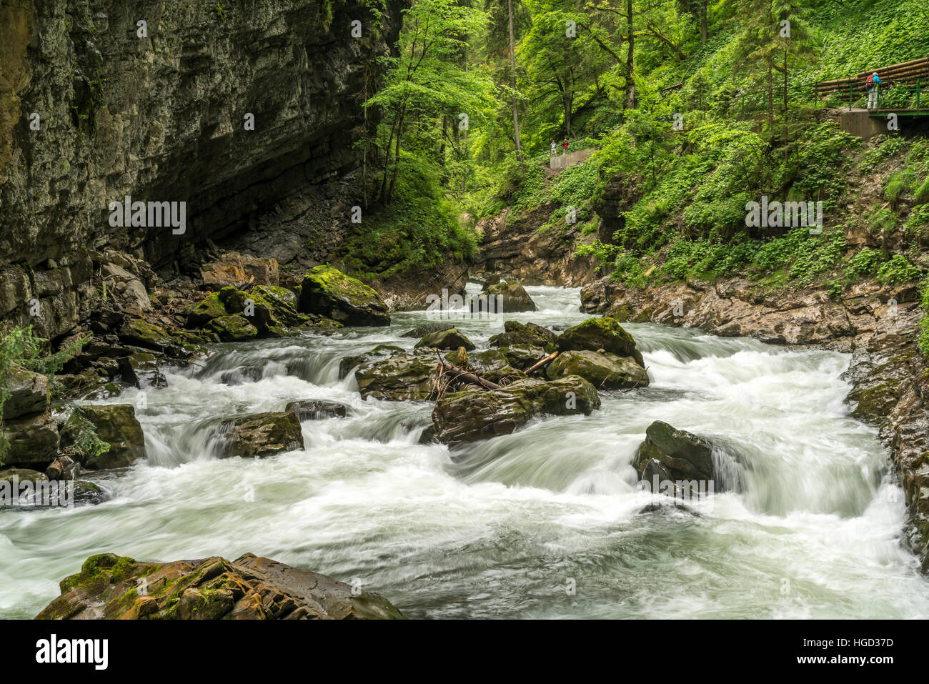 Fiume Breitach e Breitachklamm gorge, Kleinwalsertal vicino a Oberstdorf, Oberallgäu, Baviera, Germania Foto Stock