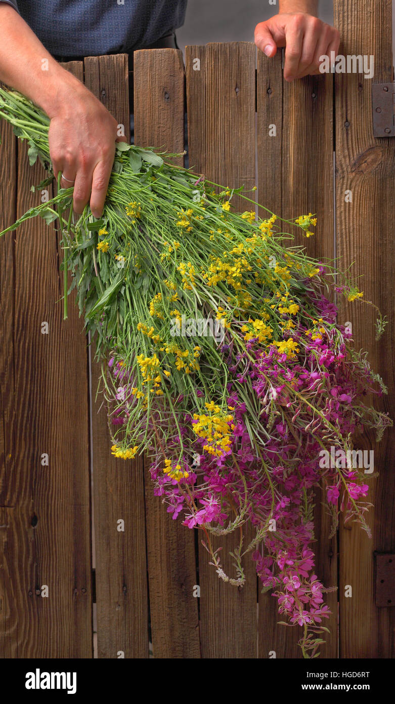 Uomo con un enorme bouquet di fiori selvatici, un bouquet di fiori in mano un mazzo di fiori su una staccionata in legno, fiori sulle schede, antica recinzione, rarità legno Foto Stock