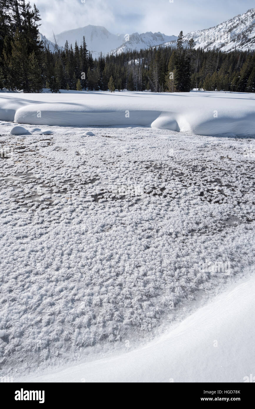 Trasformata per forte gradiente di cristalli di brina in corrispondenza di una molla in Oregon Wallowa della montagna. Foto Stock