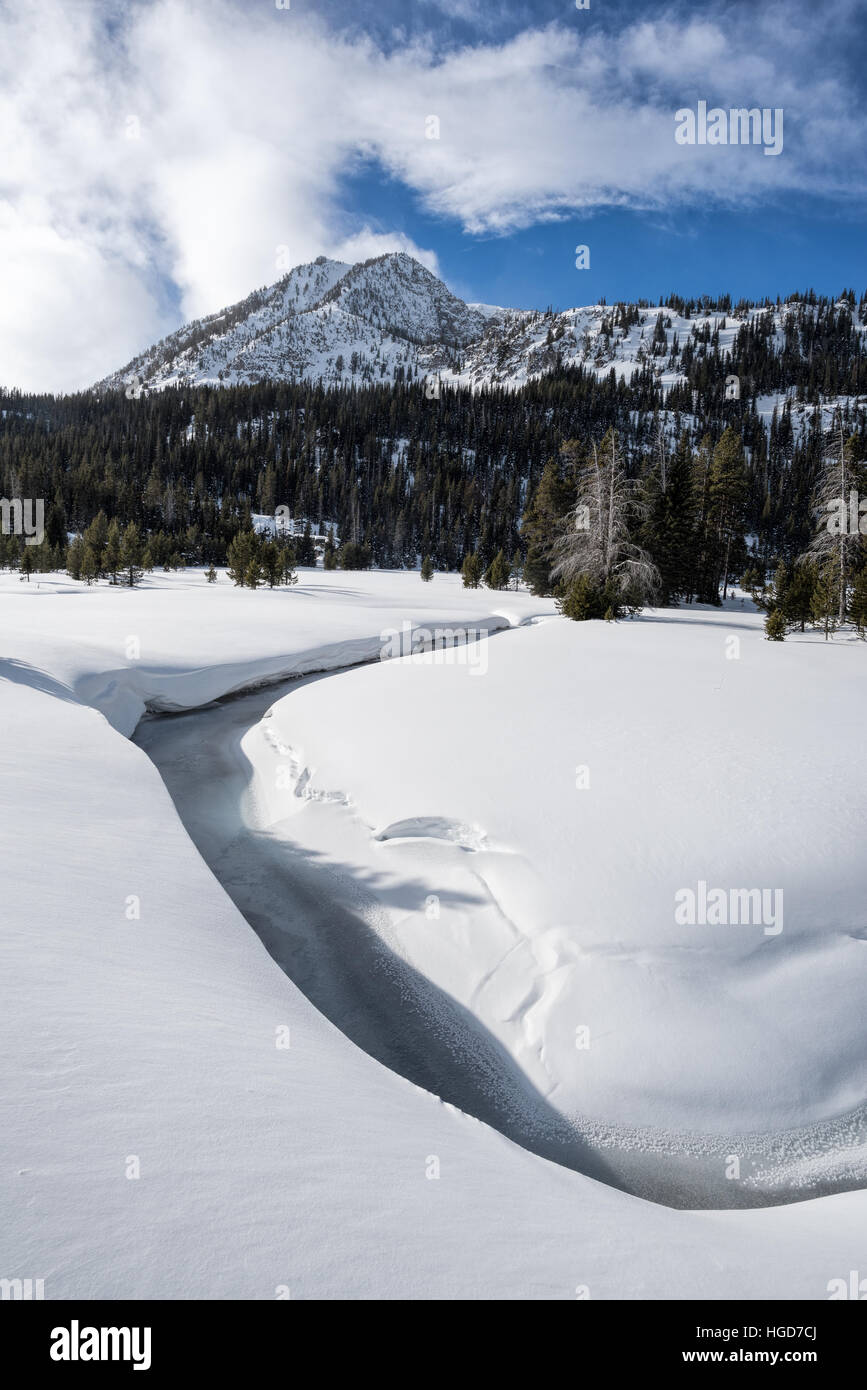Fiume Wallowa sorgenti in inverno, Wallowa Mountains, Oregon. Foto Stock