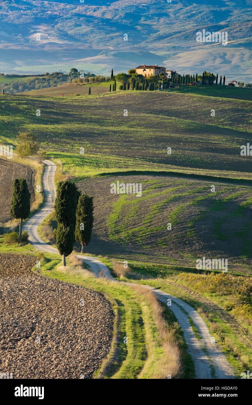 Fattoria di avvolgimento la via che conduce alla villa contea vicino a Pienza, Toscana, Italia Foto Stock