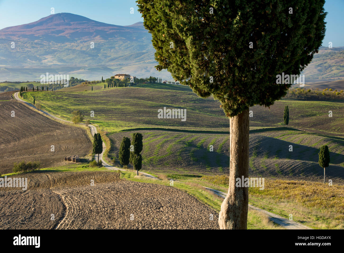 Fattoria di avvolgimento la via che conduce alla villa contea vicino a Pienza, Toscana, Italia Foto Stock