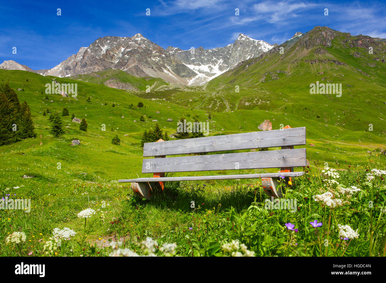 Panca, sedile, sull'Alp Flix, Grigioni, Svizzera Foto Stock