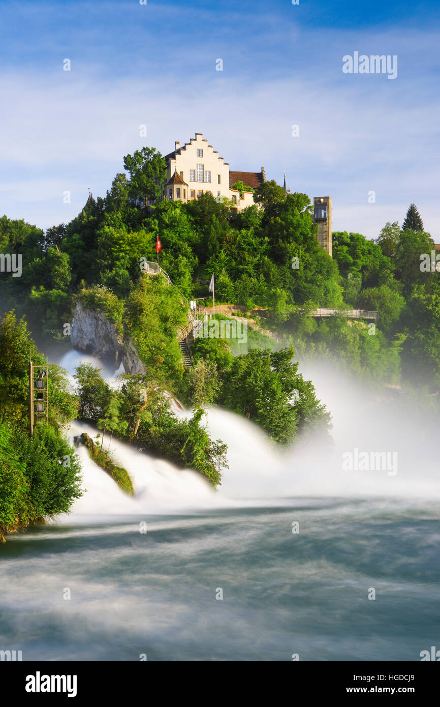 Le Cascate del Reno con il Laufen Castello, Svizzera Foto Stock