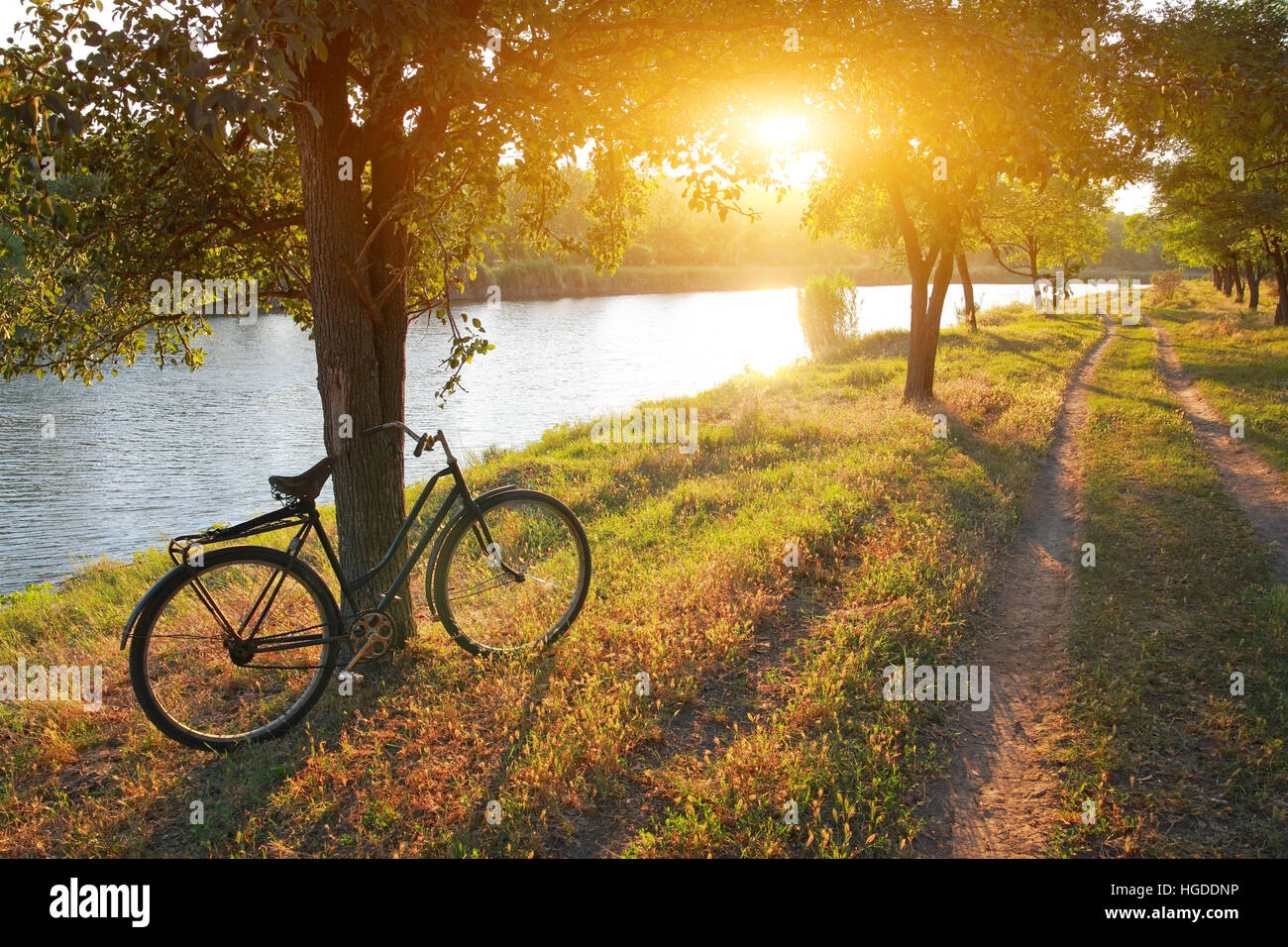 Paesaggio, bicicletta vicino albero, strada rurale lungo il fiume tra gli alberi al tramonto Foto Stock