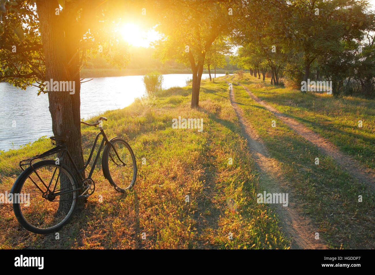 Paesaggio estivo, in bicicletta nei pressi di albero, strada rurale lungo il fiume tra gli alberi al tramonto Foto Stock