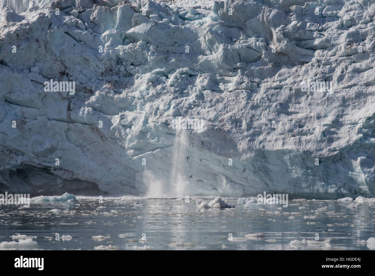 Artico, ghiaccio, glaciale, troncaggio Hornsund, mare, pitsbergen, Svalbard Foto Stock