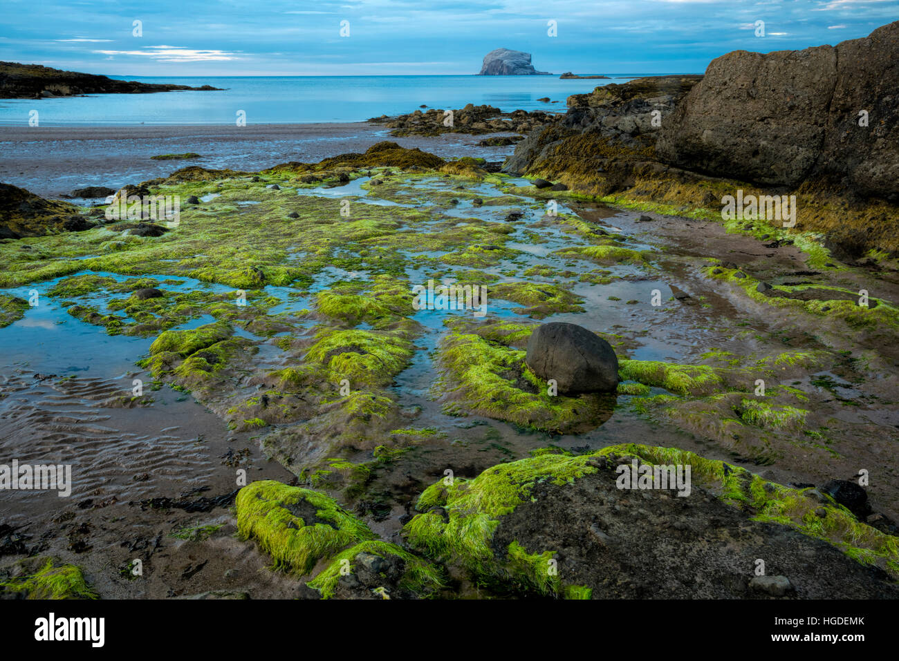 Regno Unito, Scozia, East Lothian, North Berwick, costa a bassa marea Foto Stock