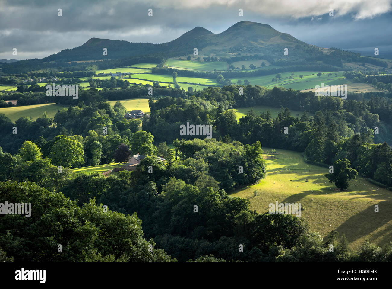 Regno Unito, Scozia, Scott's View è un punto di vista nella, che si affaccia sulla valle del fiume Tweed, che ha fama di essere una delle visualizzazioni preferite di Sir Walter Scott. Foto Stock