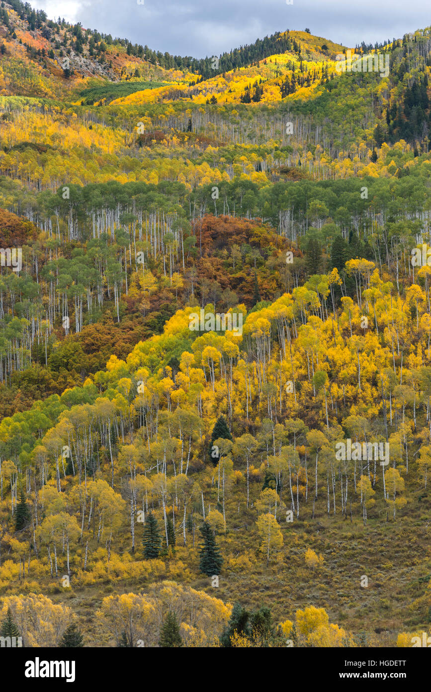 Colorado, McClure passano in Colorado Rockies Foto Stock