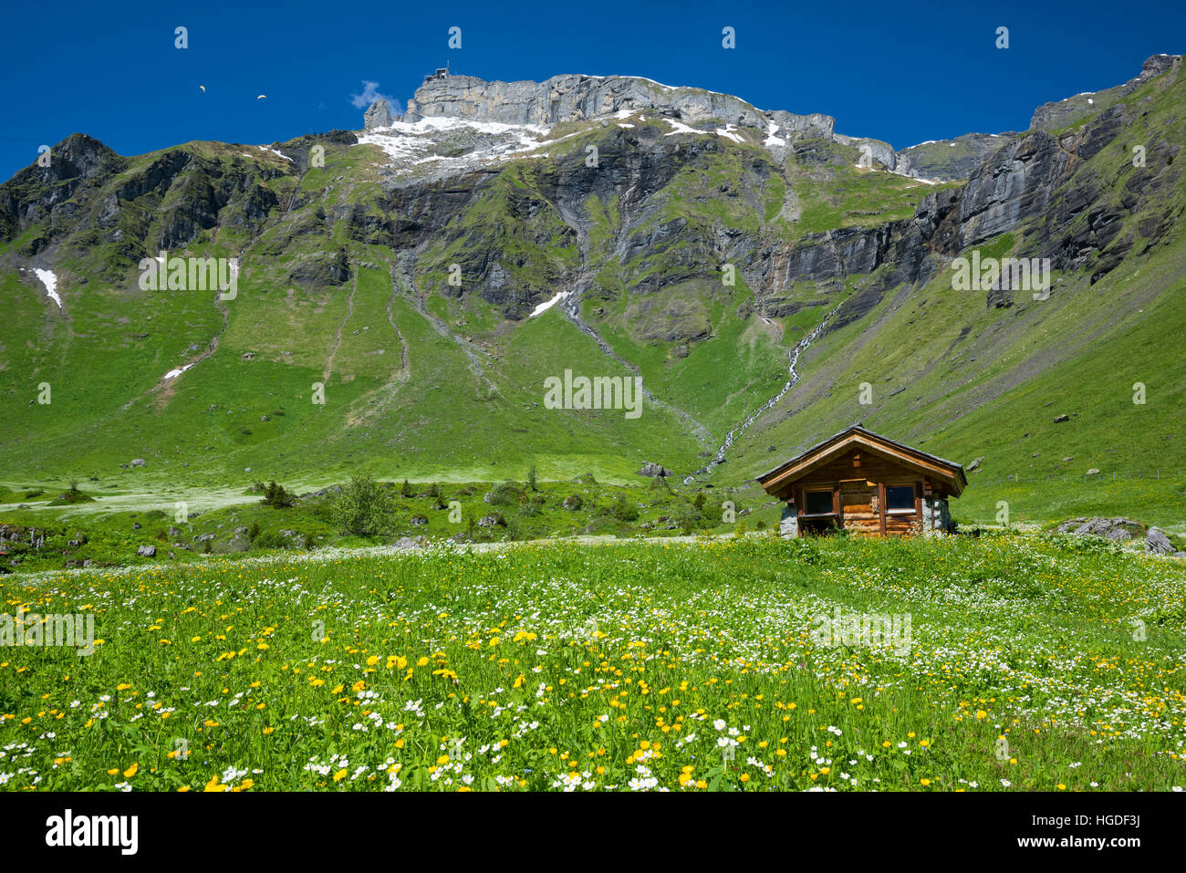 Berna Oberland Bernese, Birg, Blumental Foto Stock