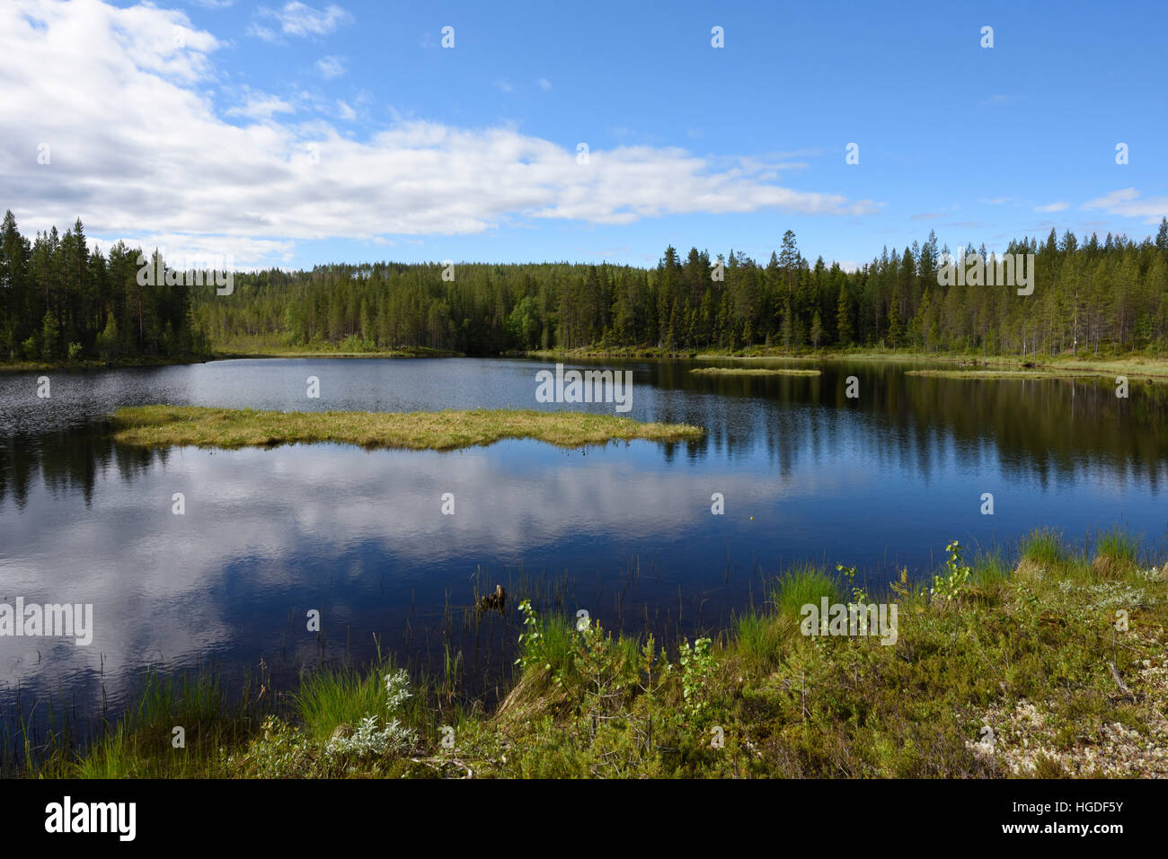 Lago, foreste, Härjedalen, Svezia Foto Stock