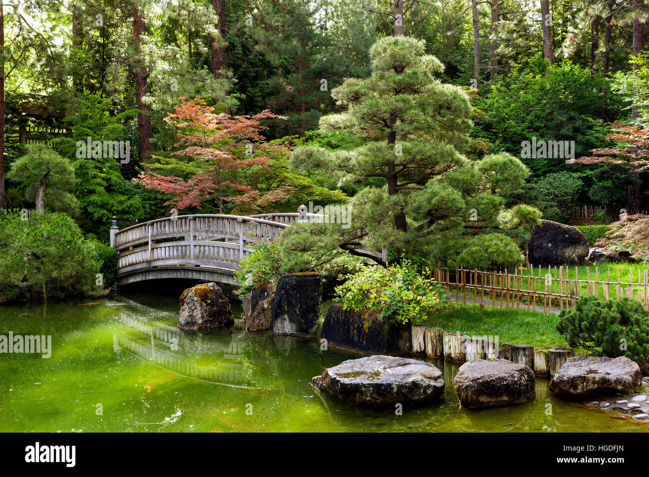 WA11921-00...WASHINGTON - Nishinomiya Tsutakawa giapponese del laghetto in giardino e ponte a Spokane's Manito Park complesso. Foto Stock