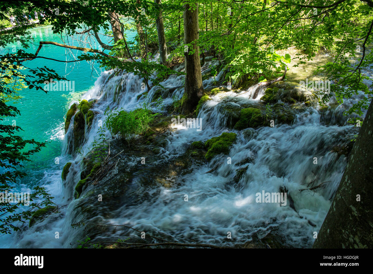 Il Parco Nazionale dei laghi di Plitvice, Foto Stock