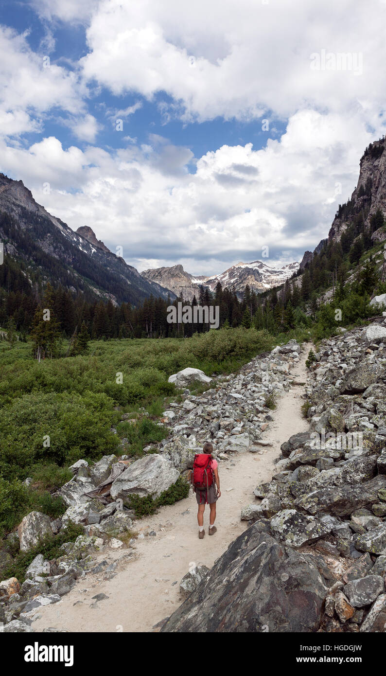 WY01999-00...WYOMING - escursionista sulla cascata Canyon Trail nel Parco Nazionale di Grand Teton. (MR# S1) Foto Stock