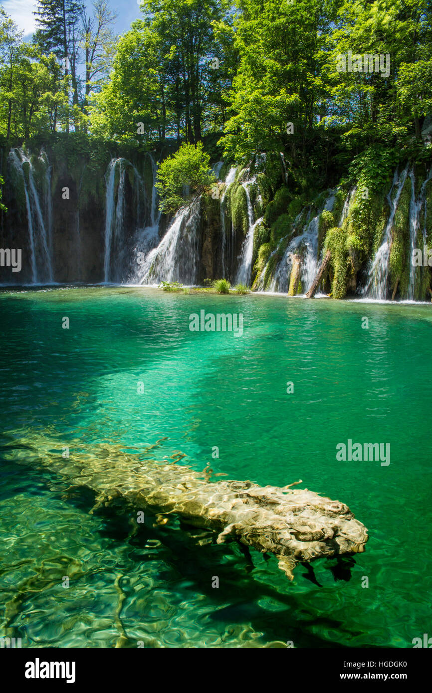 Il Parco Nazionale dei laghi di Plitvice, Foto Stock