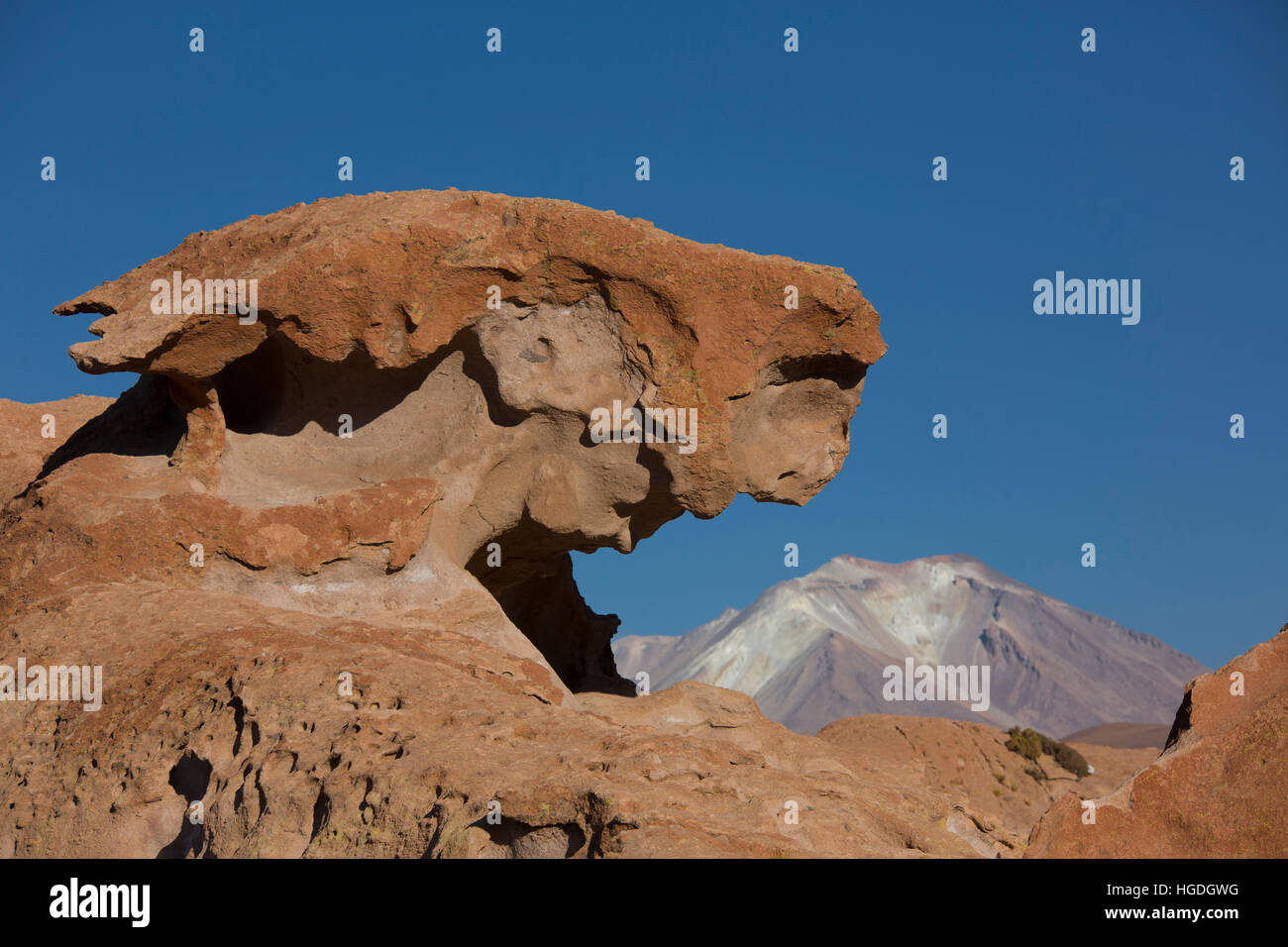 Valle di pietre nel deserto Siloli, Foto Stock