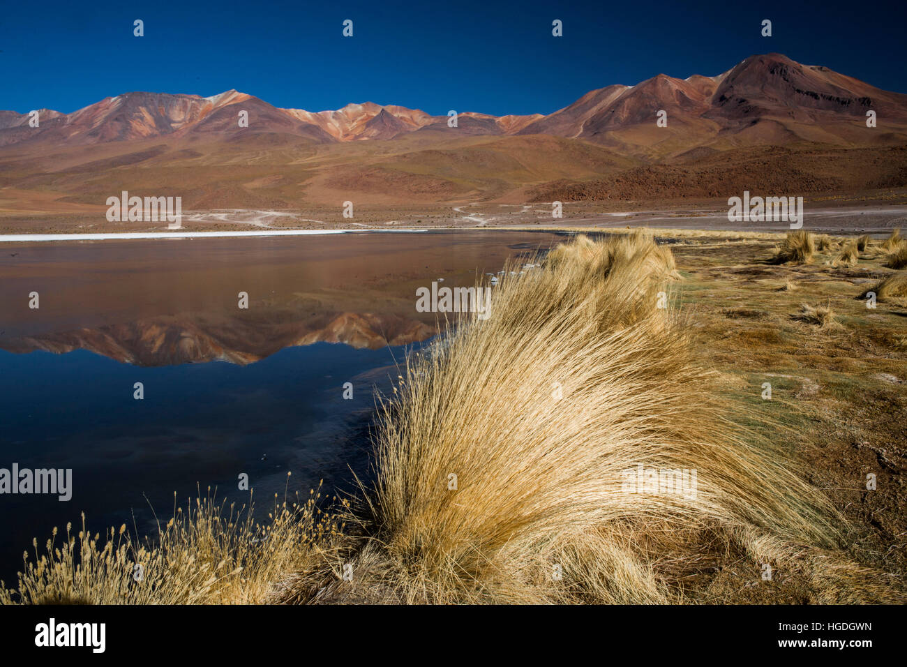 Laguna Canapa nel deserto Siloli, Foto Stock