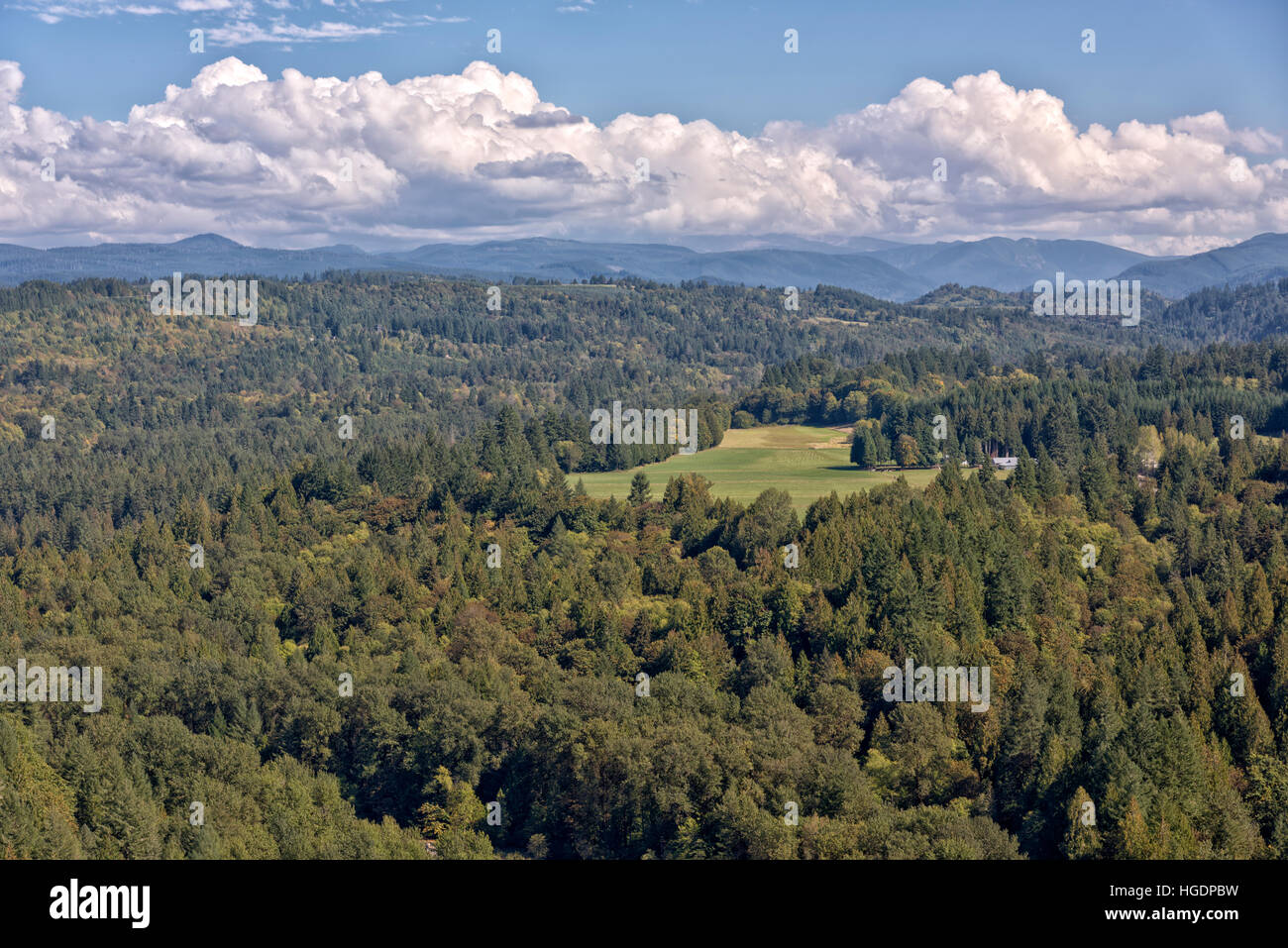 Punto di vista Jonsrud foresta e nuvole di sabbia in Oregon. Foto Stock