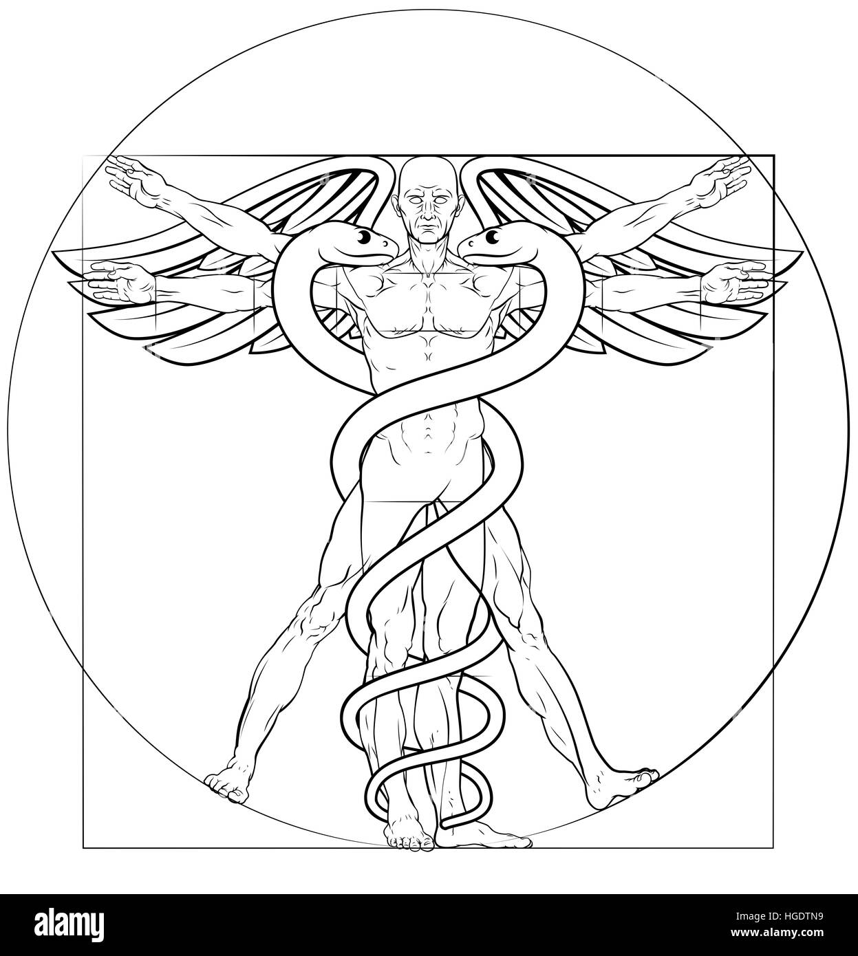 Caduceo medical simbolo uomo vitruviano concetto con figura di Leonardo Da Vinci disegno anatomico Foto Stock