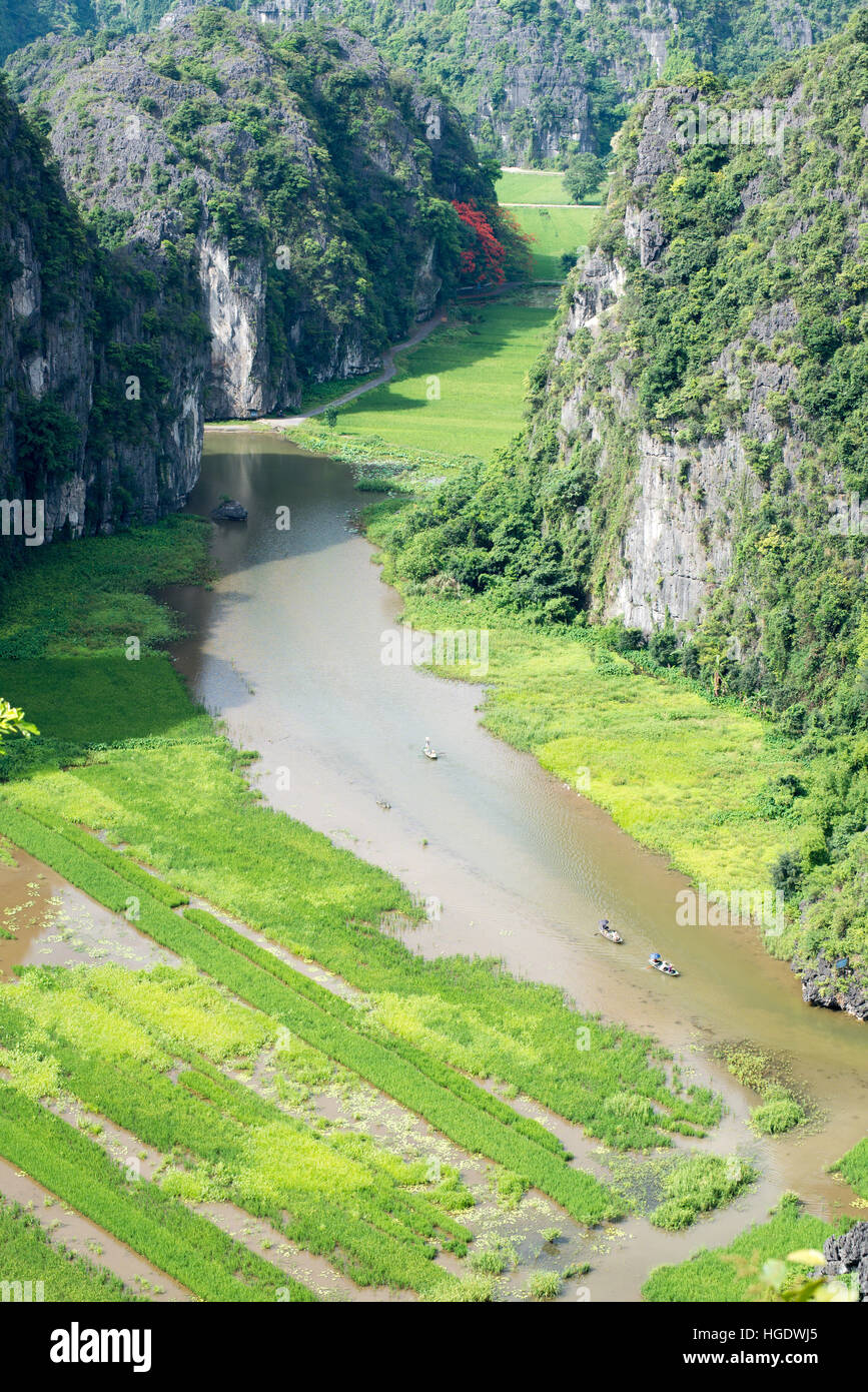 Vista dall'alto di risaie amid calcari da Mua le grotte di Tam Coc, Ninh Bình, Vietnam Foto Stock