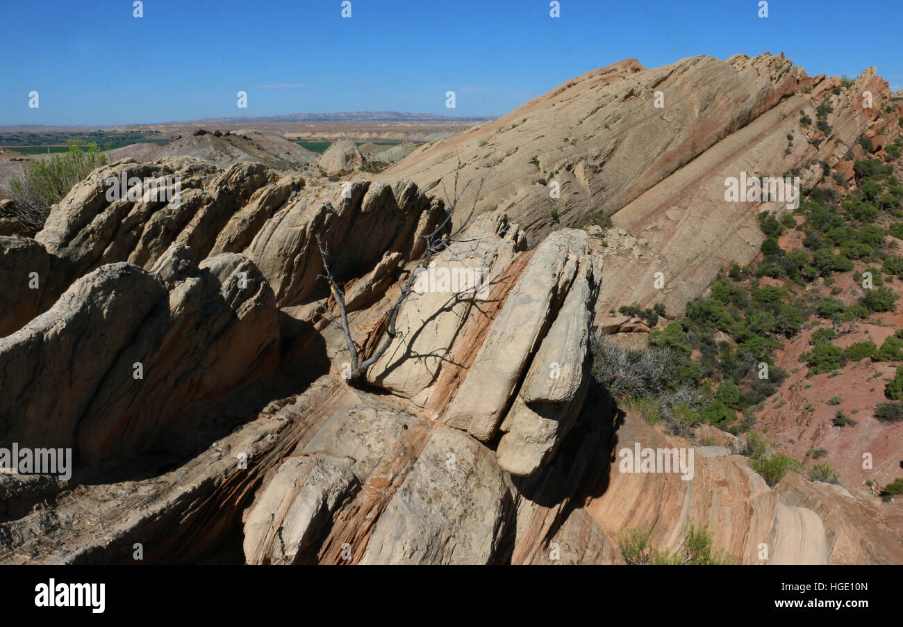 Inclinato gli strati di roccia Dinosaur National Monument Utah Foto Stock