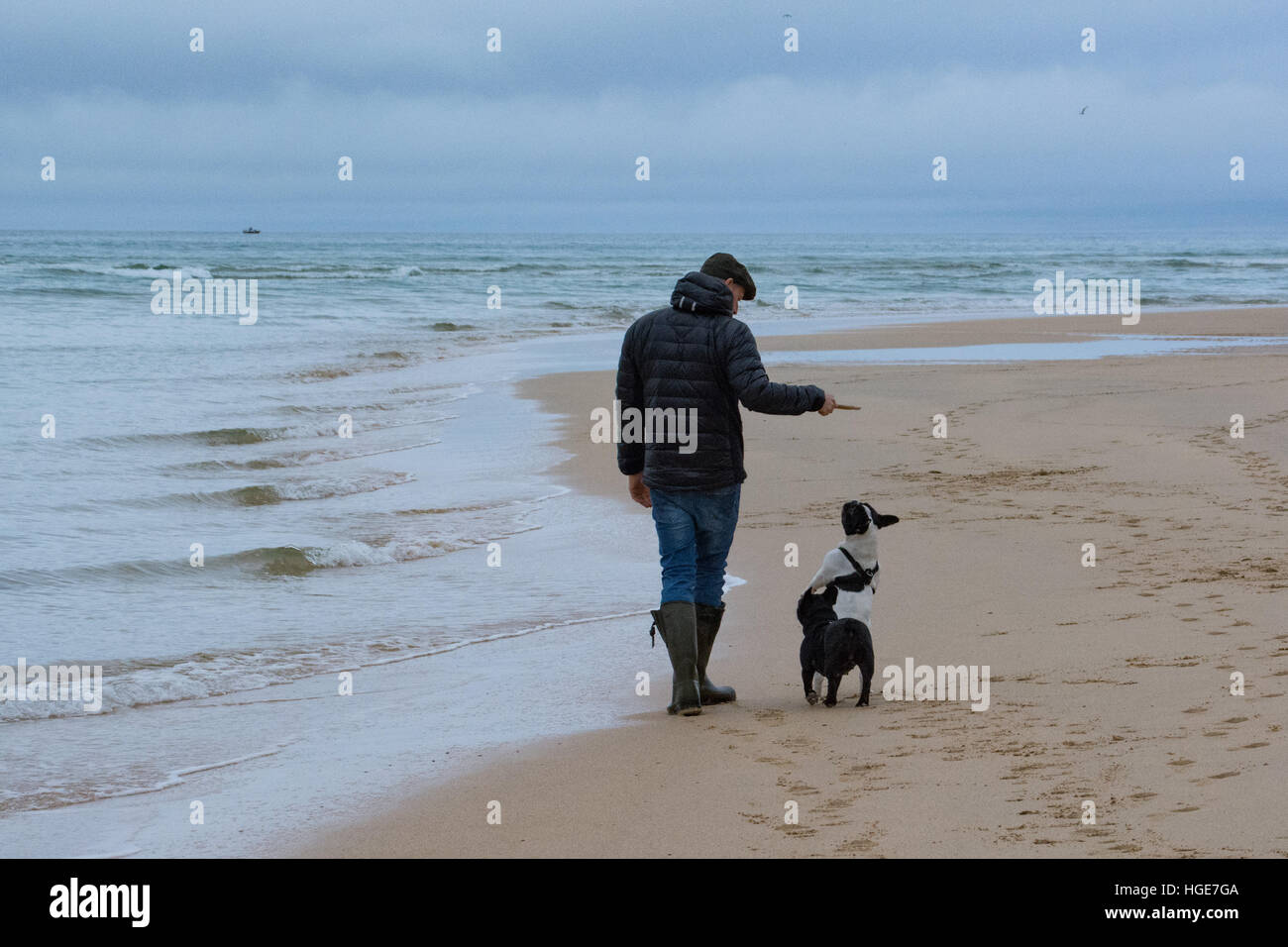 Hayle, Cornwall, Regno Unito. 8 gennaio 2017. Regno Unito Meteo. Temperature miti persistono in Cornovaglia, con 13 gradi e la pioggia inizia a muovere in. Credito: cwallpix/Alamy Live News Foto Stock