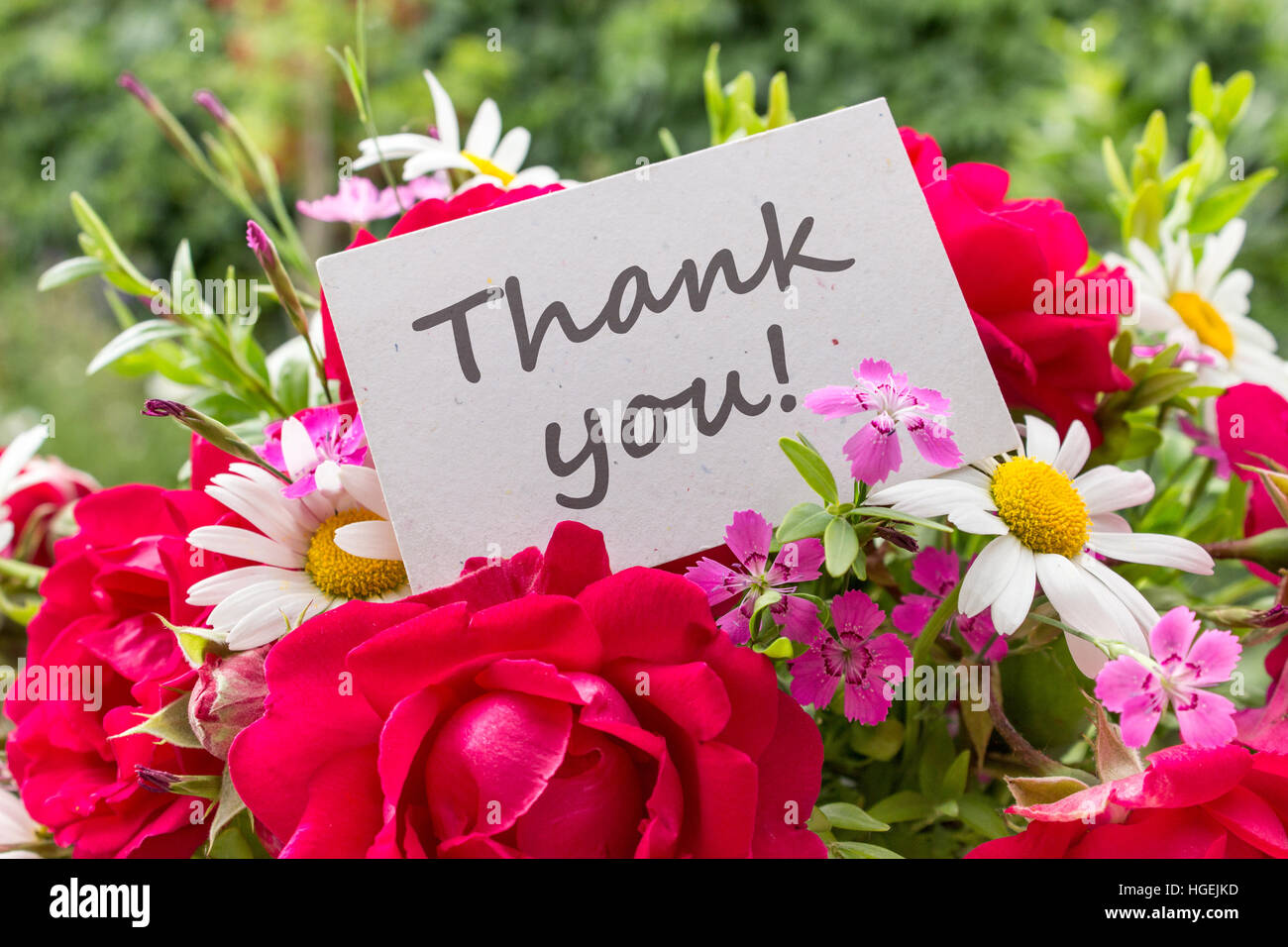 Fiori D Estate E Scheda Con Testo In Inglese Grazie Foto Stock Alamy